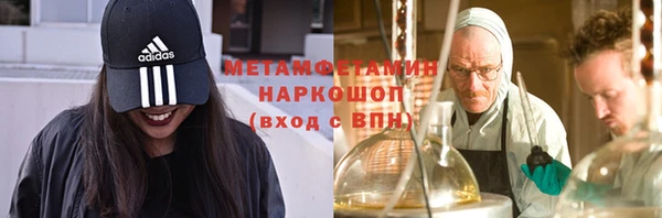 шишки Белокуриха