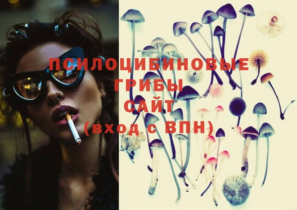 шишки Белокуриха