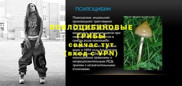 соль ск Богородицк