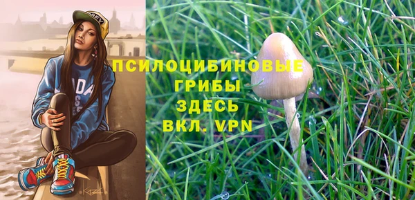 не бодяженный Беломорск