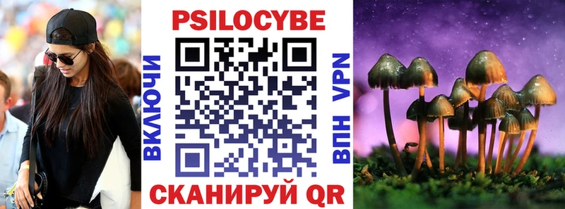Купить закладки  Салаир  Псилоцибиновые грибы MAGIC MUSHROOMS 